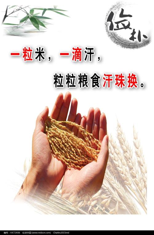 哪里可以办科克大学文凭